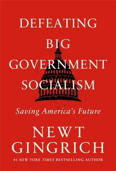 Defeating Big Government Socialism Gingrich Newt