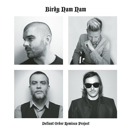 Defiant Order (Remixes Project) Birdy Nam Nam