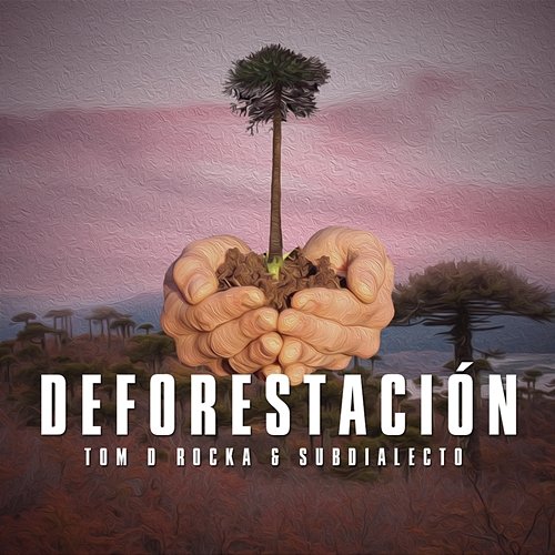 Deforestación Tom D. Rocka