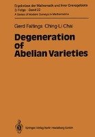 Degeneration of Abelian Varieties Chai Ching-Li, Faltings Gerd