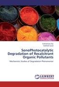 Degradation Studies of Organic Pollutants Goud Vaibhab, Das Subhabrata