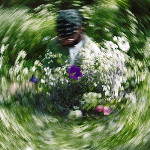 dehydrate Solomon