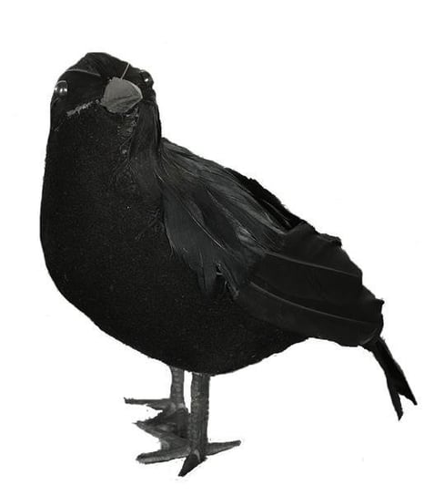 Dekoracja Czarny Ptak Kruk Guirca