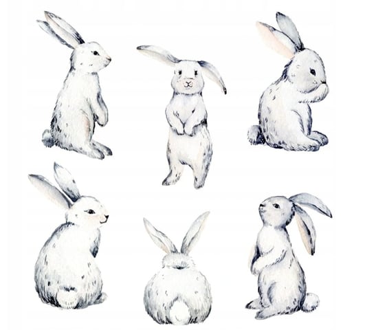 Dekoracja naklejka zające króliki białe szkic dekochmurka
