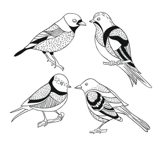 Dekoracja ścienna różne kolory ptaki ptaszki dekochmurka