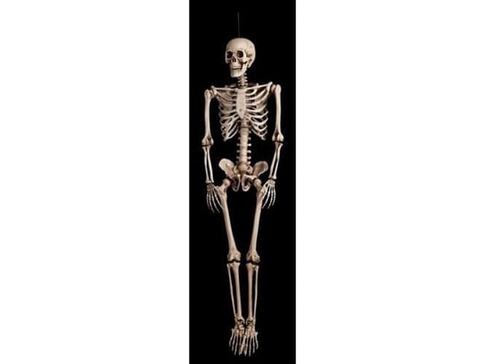 Dekoracja szkielet lux 160 x 80 cm - przebrania i dodatki dla dorosłych Aster