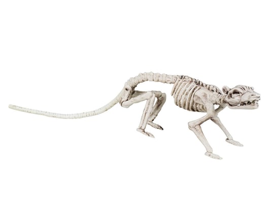 Dekoracja Szkielet Szczura - 35 cm - 1 szt. Boland