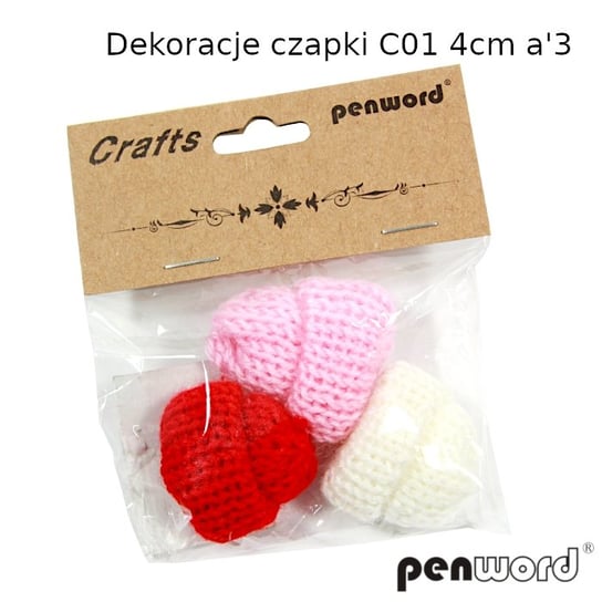 DEKORACJE CZAPKI 3 SZTUKI PENWORD C01  5902557418596 brak  danych