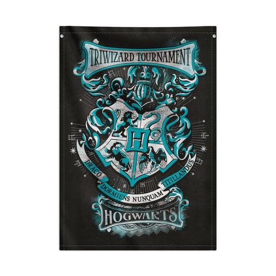 Dekoracyjny Banner Domów W Hogwarcie Harry Potter Inna marka