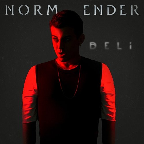 Deli Norm Ender