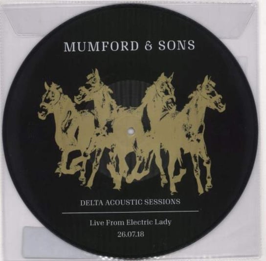 Delta Acoustic, płyta winylowa Mumford And Sons