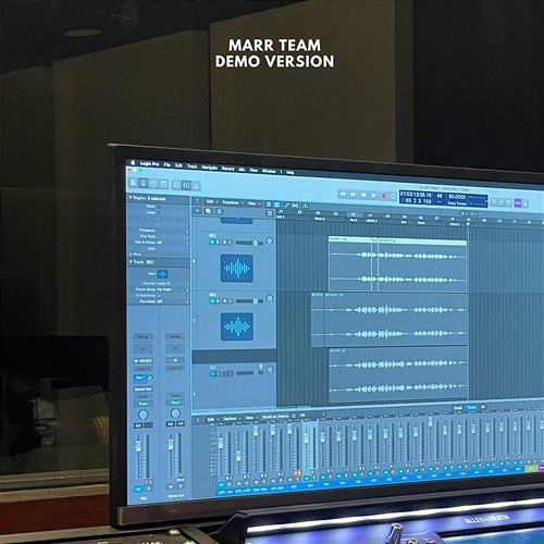 Demo Version marr team
