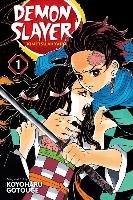 Demon Slayer. Kimetsu no Yaiba. Volume 1 Gotouge Koyoharu