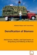 Densification of Biomass Kaliyan Nalladurai