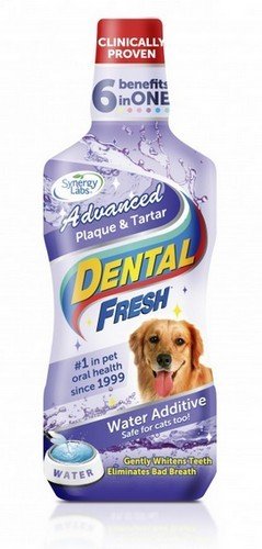 Dental Fresh Kamień & Osad 503ml DENTAL FRESH