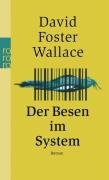 Der Besen im System Wallace David Foster