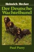 Der Deutsche Wachtelhund Hecker Heinrich