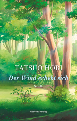 Der Wind erhebt sich Mitteldeutscher Verlag