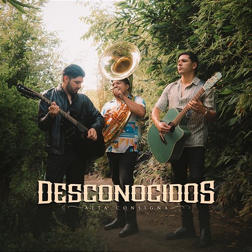 Desconocidos Alta Consigna