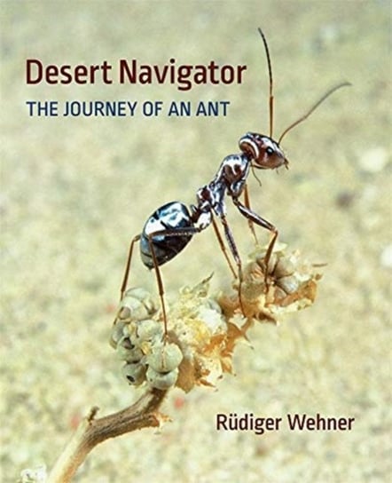 Desert Navigator: The Journey of an Ant Rudiger Wehner