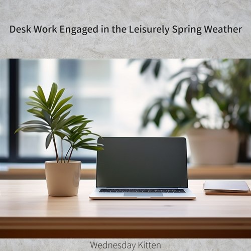 Desk Work Engaged in the Leisurely Spring Weather Wednesday Kitten