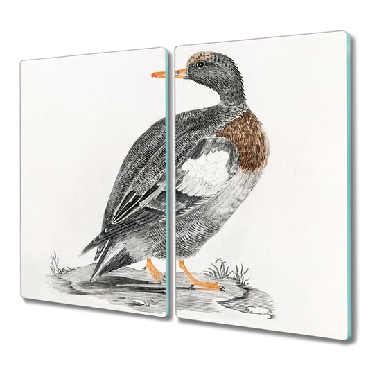 Deska 2x30x52 cm Ptak kogut z nadrukiem nowoczesna, Coloray Coloray