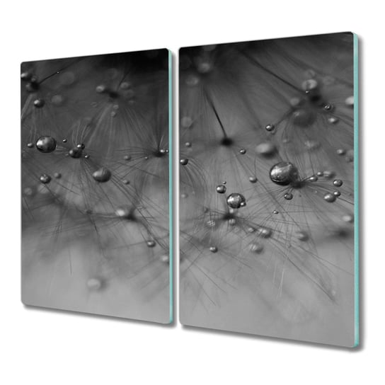 Deska 2x30x52 Dmuchawiec woda z grafiką nowoczesna, Coloray Coloray