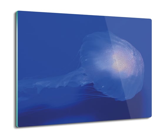 deska splashback druk Meduza ocean morze 60x52, ArtprintCave ArtPrintCave