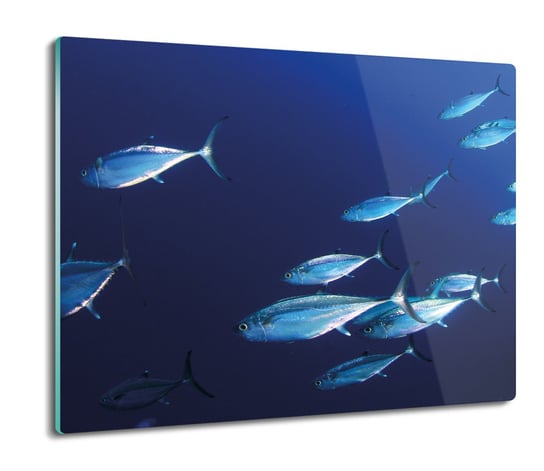 deska splashback szklana Kolonia ryb ocean 60x52, ArtprintCave ArtPrintCave