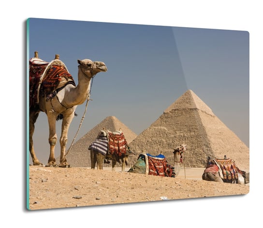 deska splashback szklana Piramidy wielbłądy 60x52, ArtprintCave ArtPrintCave