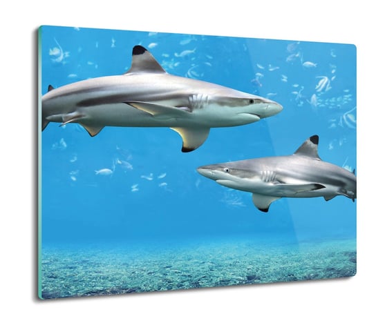 deska splashback szklana Rekiny ocean rybki 60x52, ArtprintCave ArtPrintCave