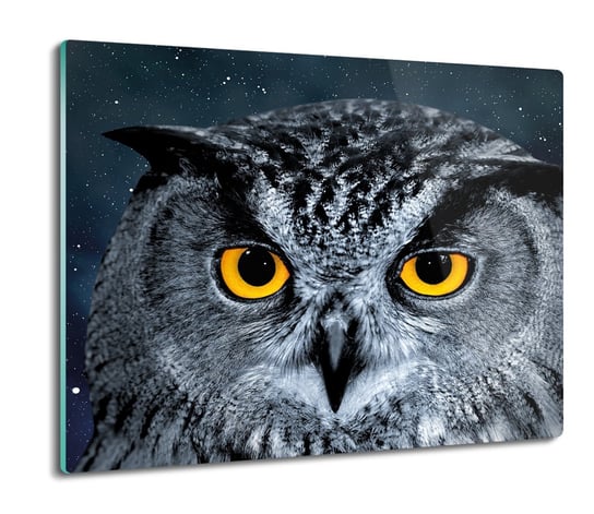 deska splashback z foto Głowa sowy gwiazdy 60x52, ArtprintCave ArtPrintCave