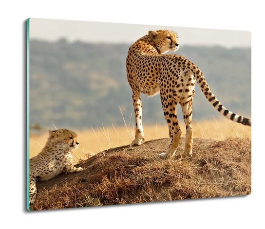 deska splashback z foto Rodzina gepardy 60x52, ArtprintCave ArtPrintCave
