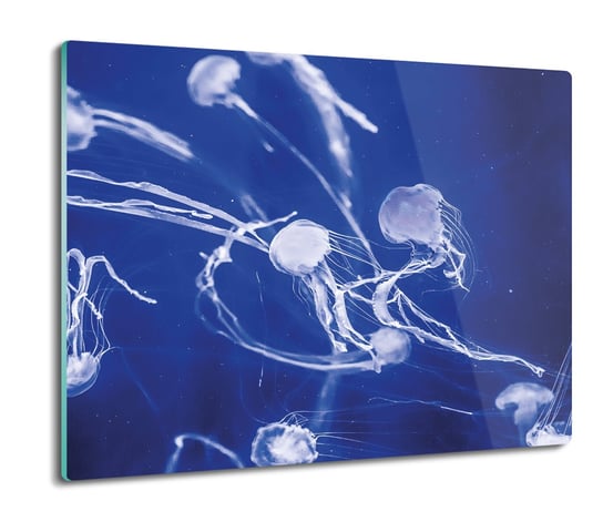 deska splashback z foto Świecące meduzy 60x52, ArtprintCave ArtPrintCave