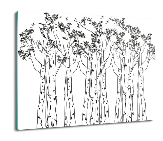 deska splashback z grafiką Drzewa brzoza 60x52, ArtprintCave ArtPrintCave