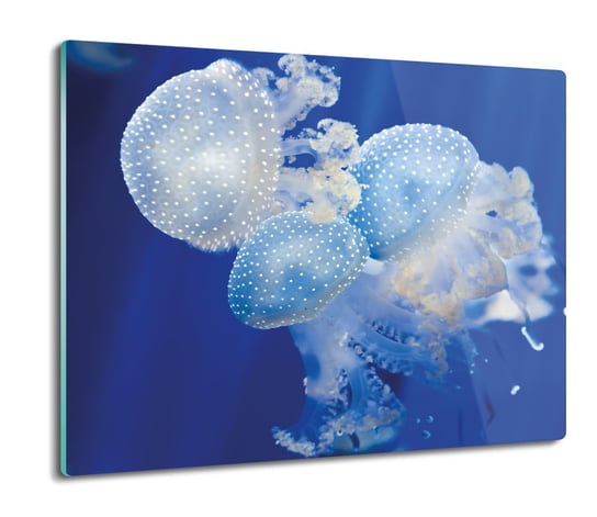 deska splashback ze szkła Meduzy morze ocean 60x52, ArtprintCave ArtPrintCave