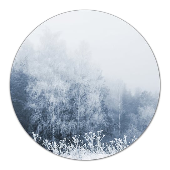 Deska szklana dekor Zimowe drzewa krajobraz fi40, Coloray Coloray