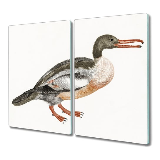 Deska szkło 2x30x52 Zwierzę ptak gałąź do kuchni, Coloray Coloray