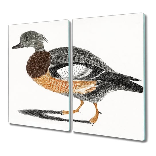 Deska szkło 2x30x52 Zwierzę ptak gałąź na prezent, Coloray Coloray