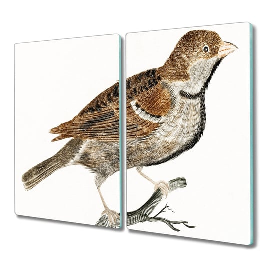 Deska ze szkła 2x30x52 cm Zwierzę ptak z grafiką, Coloray Coloray