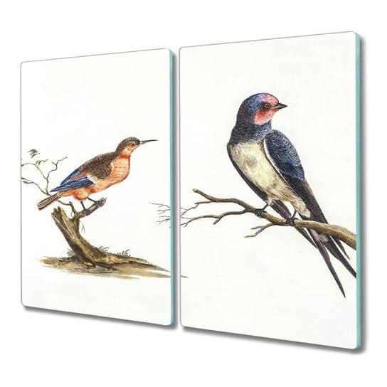 Deska ze szkła 2x30x52 cm Zwierzęta ptaki kaczki, Coloray Coloray