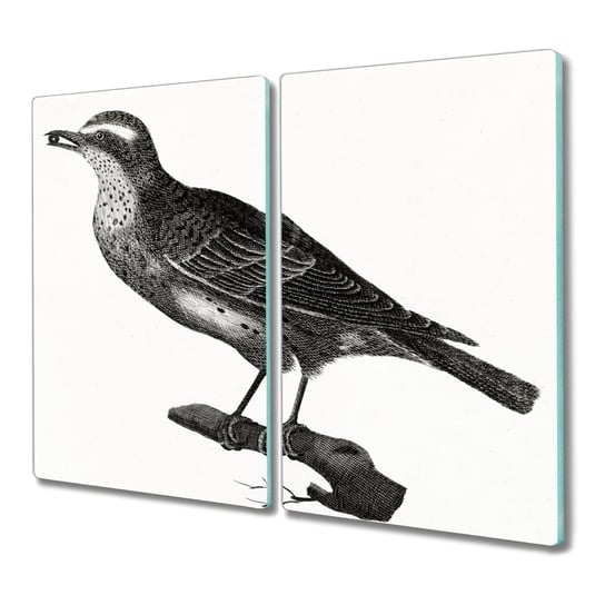 Deska ze szkła 2x30x52 Zwierzęta ptaki z nadrukiem, Coloray Coloray