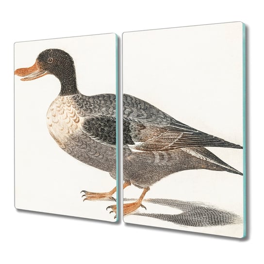 Deska ze szkła 2x30x52 Zwierzęta ptaki z nadrukiem, Coloray Coloray