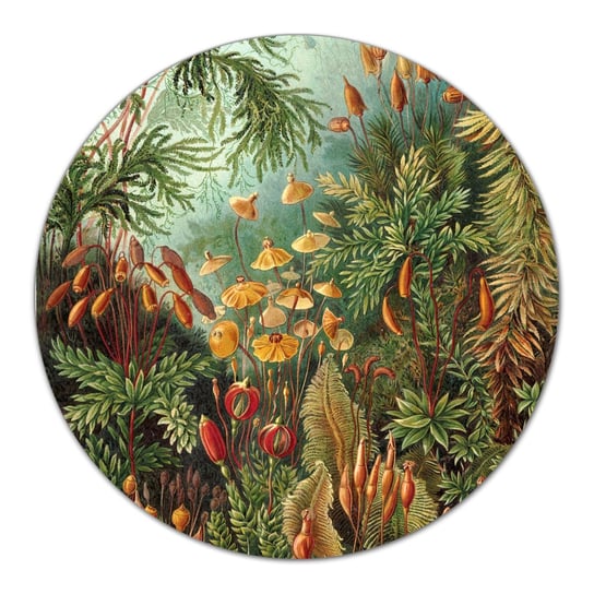Deski szklane do krojenia Tropikalna dżungla fi40, Coloray Coloray