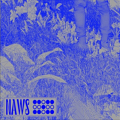 Desolate naws