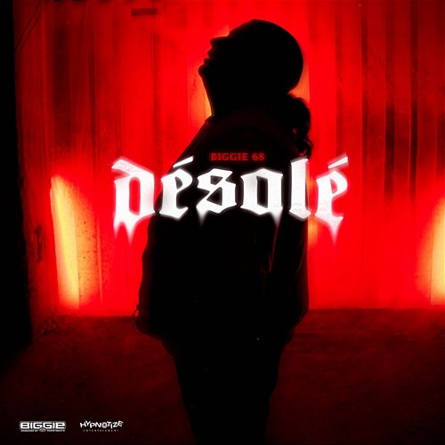 Désolé Biggie68
