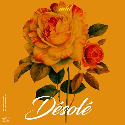 Désolé MHL