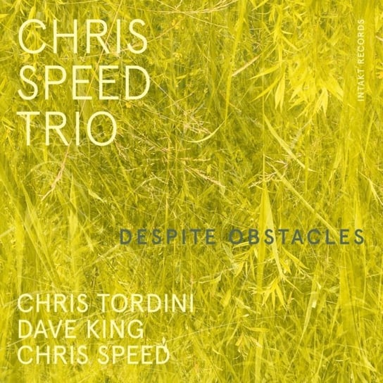 Despite Obstacles Speed Chris, Tordini Chris, King Dave