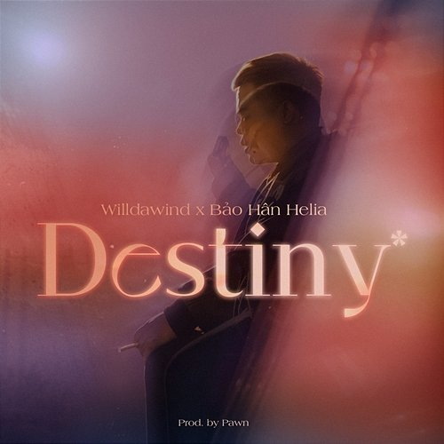 Destiny Bảo Hân Helia, Willdawind