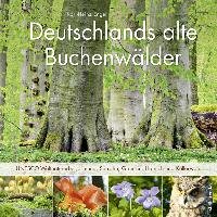 Deutschlands alte Buchenwälder Engel Karl Heinz